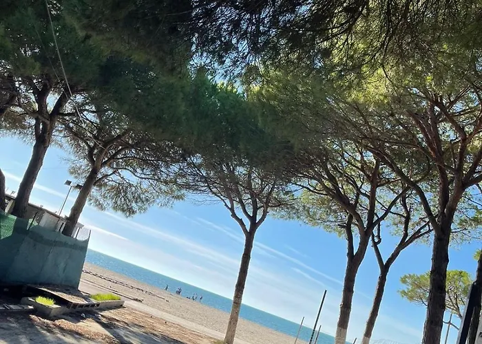 Arol Apartment, Apartment *