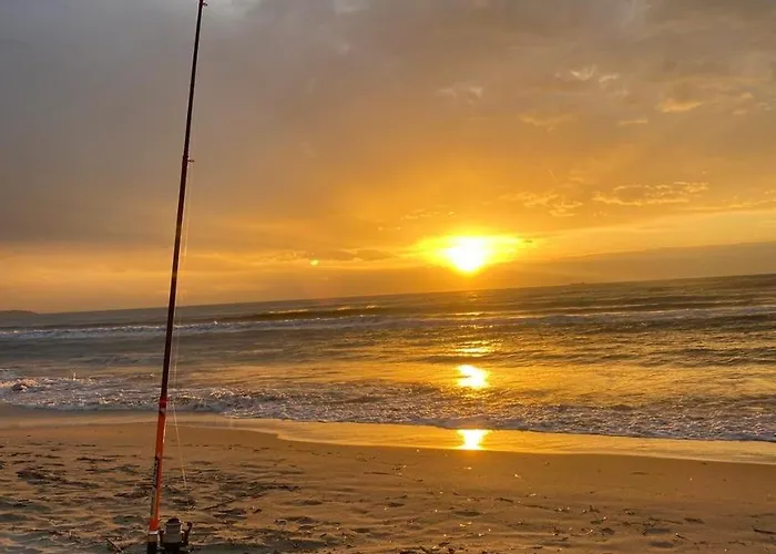 Arol Apartment, Apartment