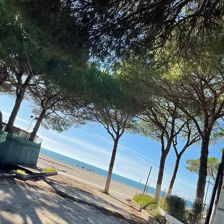 Arol Apartment, Daire