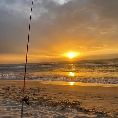 Arol Apartment, Daire