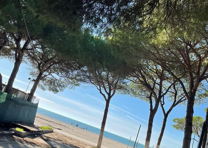 Arol Apartment, Apartman